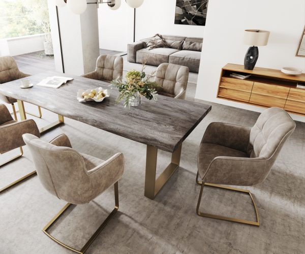 Jídelní židle Juno-Flex s područkami Taupe Vintage Cantilever Flat Gold - Image 5